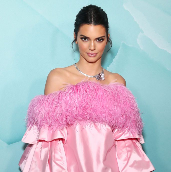    Kendall Jenner’s pink dress is our new favorite   